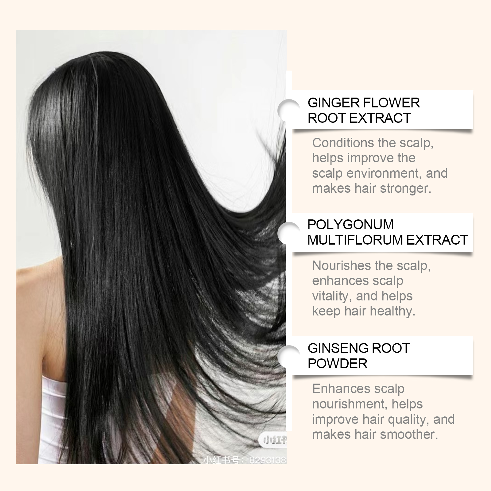 Polygonum Multiflorum Thunb Ha - Hair Care Tonic reseña y precio